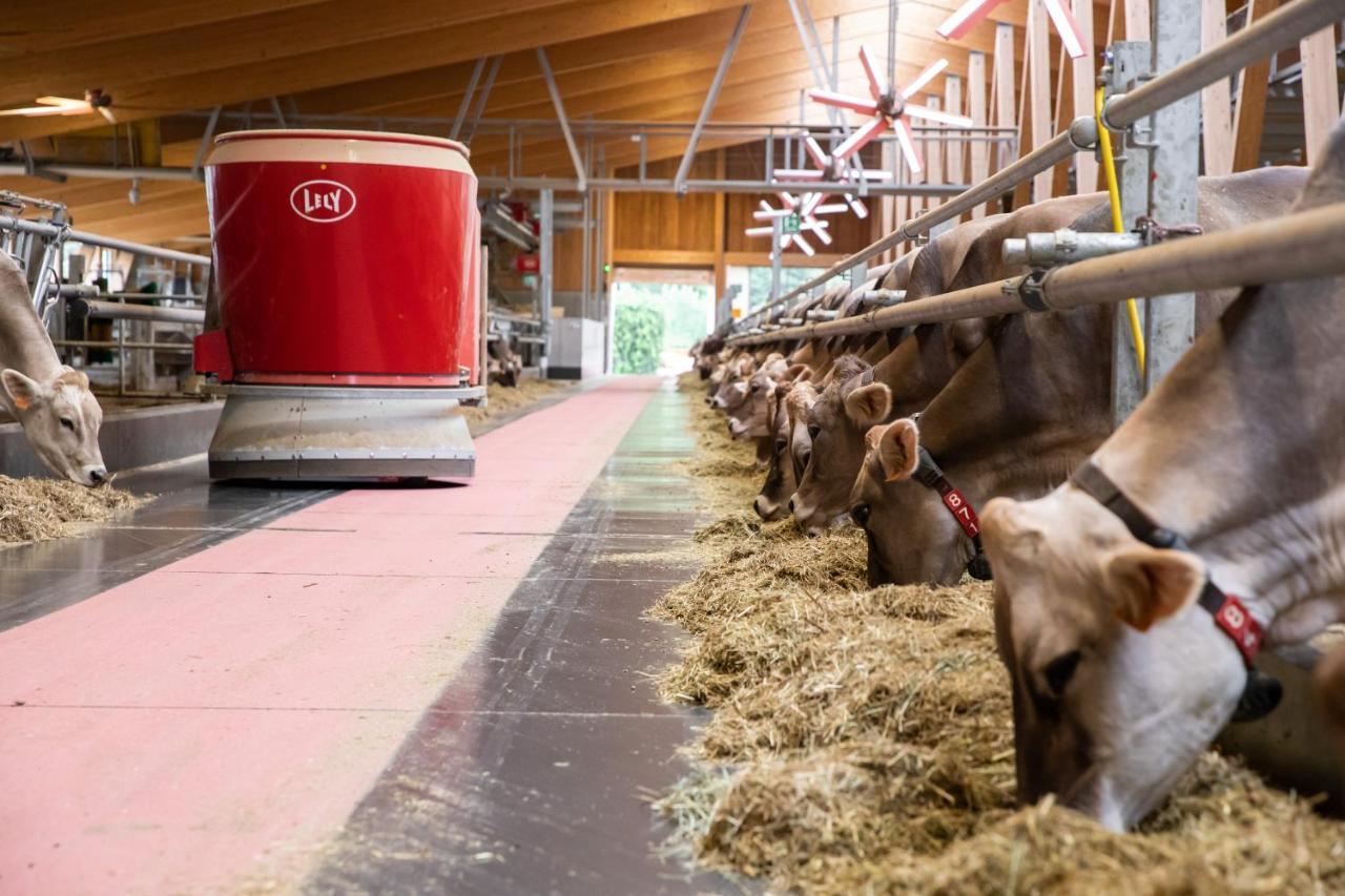 Agriturismo La Fiorida Mantello Eksteriør billede